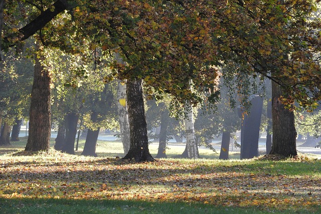 městský park
